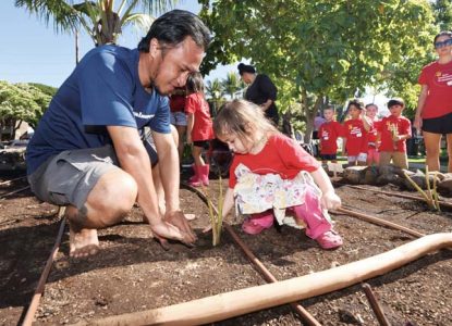 Planting kalo in former king’s patch